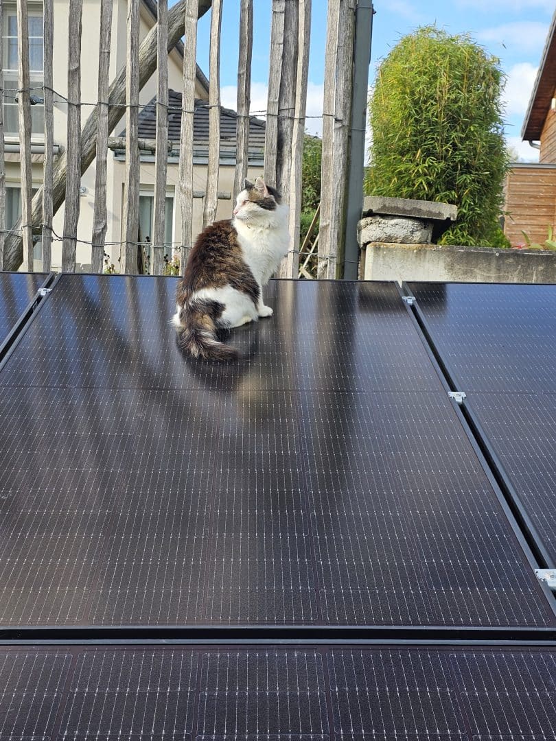 Panneaux solaires